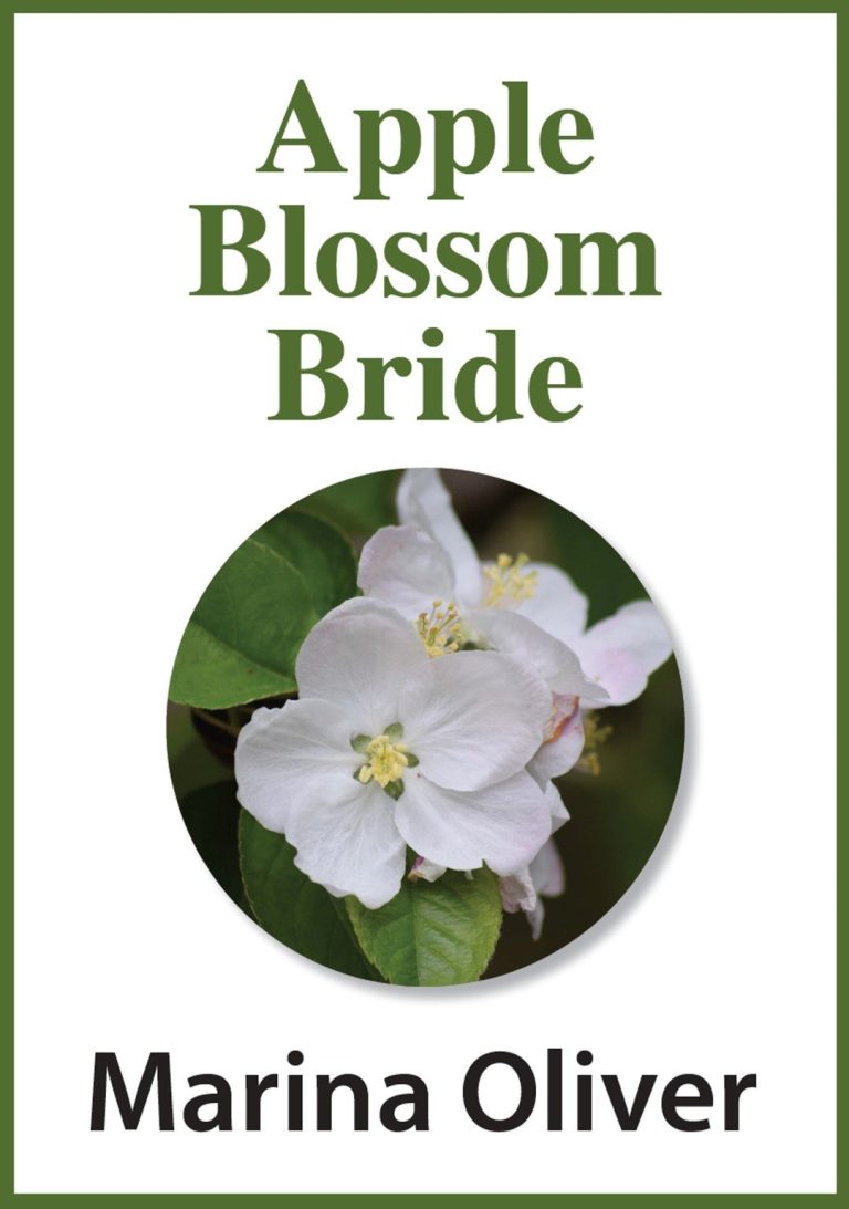 Cover of Apple Blossom Bride book Cover of Apple Blossom Bride book